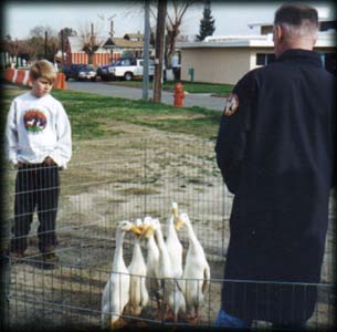 Walt judging ducks