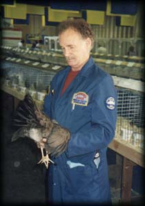 Walt judging chicken